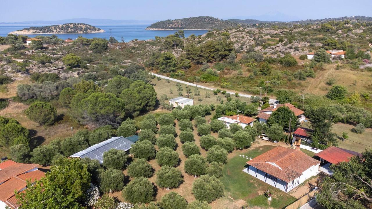 Casa Alelia Lagonisi オルモス・パナギアス エクステリア 写真